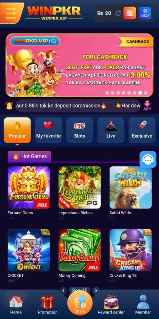 Screenshot WINPKR APK